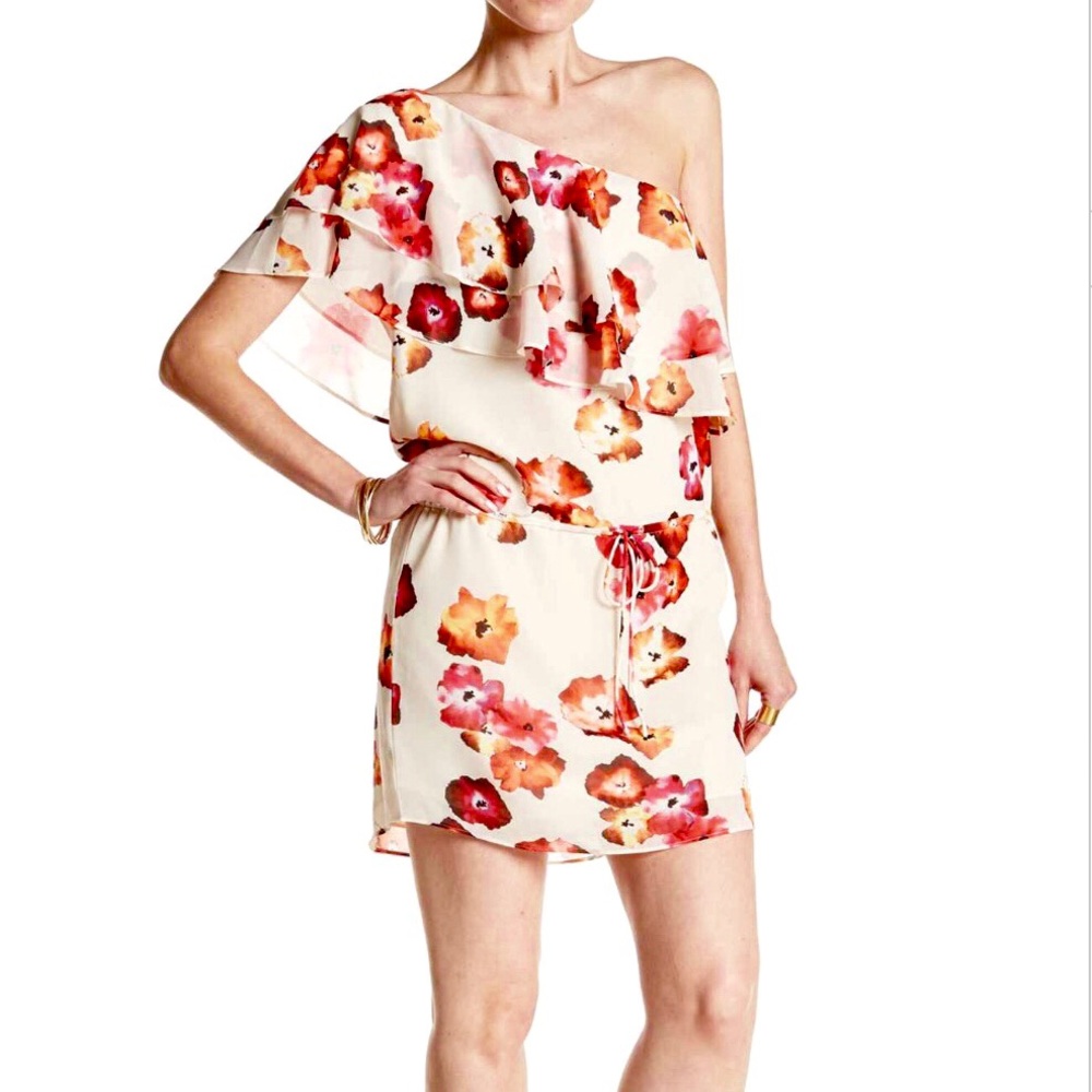 Haute Hippie One Shoulder Ruffle Dress NWT